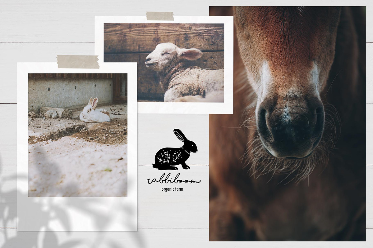 Farm love - premade logos set, a Branding & Logo Template by Alisovna (Photo 10 of 12)