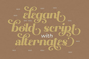 Qanthura | Elegant bold script, a Script Font by Almeera Std (Thumbnail 8 of 12)