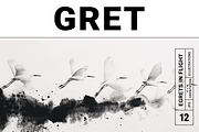 Gret Collection · Egrets in Flight, an Animal Illustration by milatovar (Thumbnail 1 of 17)