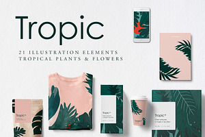 Tropic | Tropical Illustrations