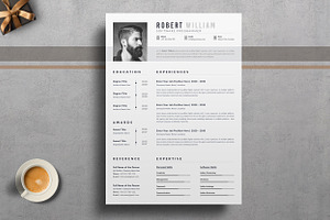 Professional Resume/CV Word