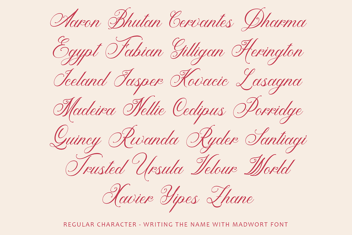 Madwort - Elegant Script Font, a Script Font by Arendxstudio (Photo 3 of 12)