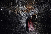 Glitterstorm Photoshop Action, an Action Add-On by Sevenstyles (Thumbnail 21 of 23)