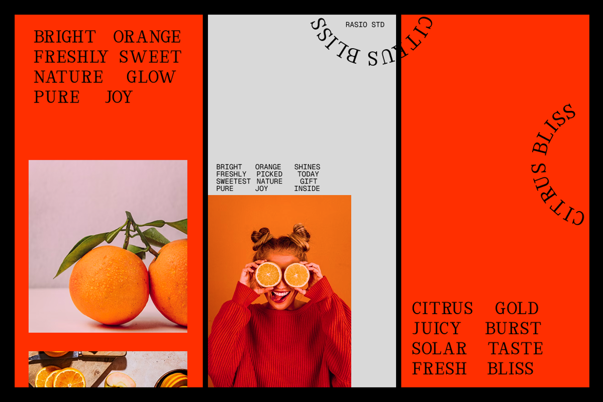 Rigidon Mono Serif Monospace Font, a Serif Font by Rasio Studio (Photo 6 of 9)