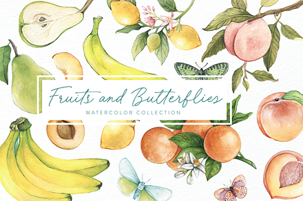 Fruits & Butterfly Watercolor, a Food Illustration by ohnochelseamae