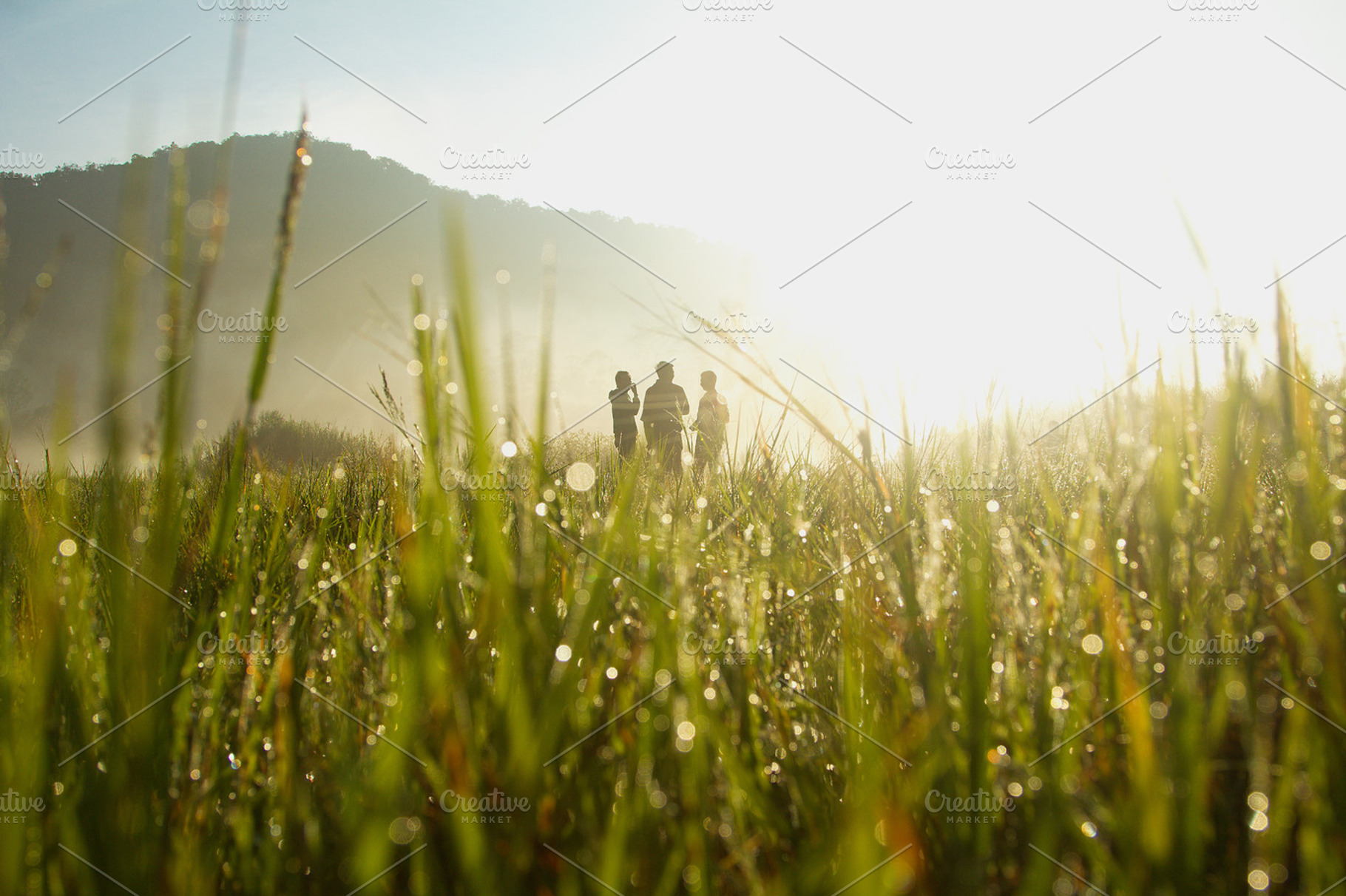 Together Friendly, a Person Photo by Salman Photocreative