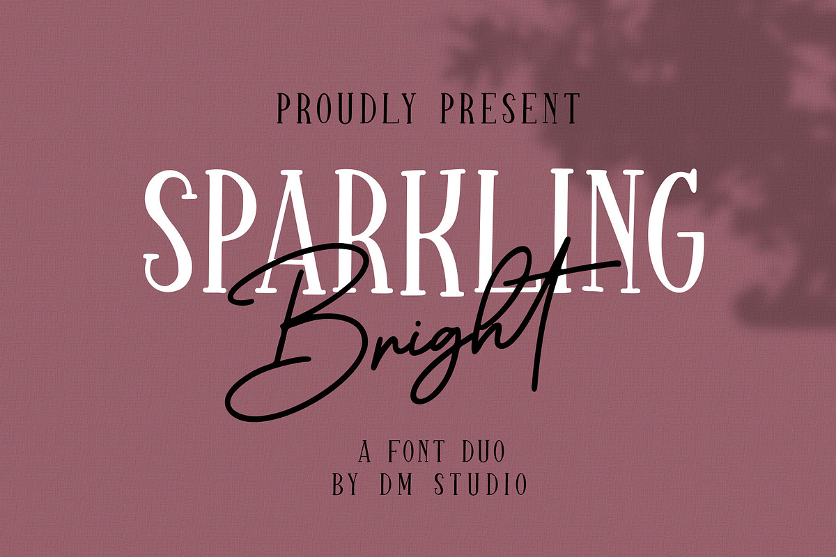 Sparkling Bright - Beauty Font Duo, a Serif Font by Dm Studio (Photo 1 of 10)