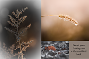 Golden Lightroom Presets, an Action Add-On by CL Creative Studio (Thumbnail 8 of 9)