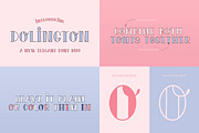The HUGE Font Bundle (98% OFF) SALE, a Sans Serif Font by Salt & Pepper Designs (Thumbnail 88 of 185)