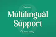 Rutle Dove - Beauty Retro Serif Font, a Serif Font by Flawless And Co (Thumbnail 10 of 10)