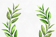 Watercolor Green Leaves, a Healthcare Illustration by Color_Brush (Thumbnail 7 of 8)
