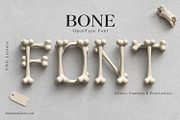 Bone Font, a Serif Font by Handmadefont (Thumbnail 1 of 15)