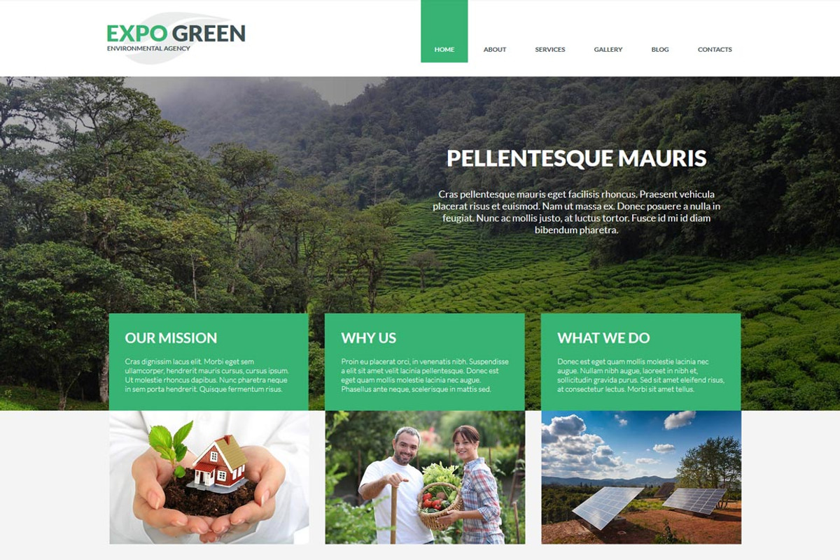 Expo Green - Joomla Tempalte, a Websites & App Template by ASDesigning