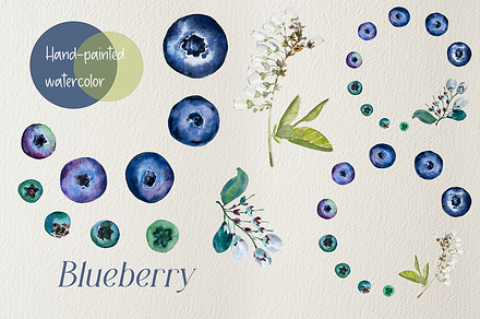 Watercolor Blueberry Life Cycle Set