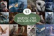 45 Majestic Owl Stock Photos, an Animal Photo by Incomelion (Thumbnail 1 of 13)