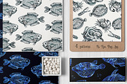 Vector Sea Life Graphics Collections, an Animal Illustration by ZiziMarket (Thumbnail 2 of 5)