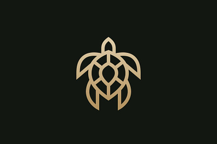 Turtle logo design.