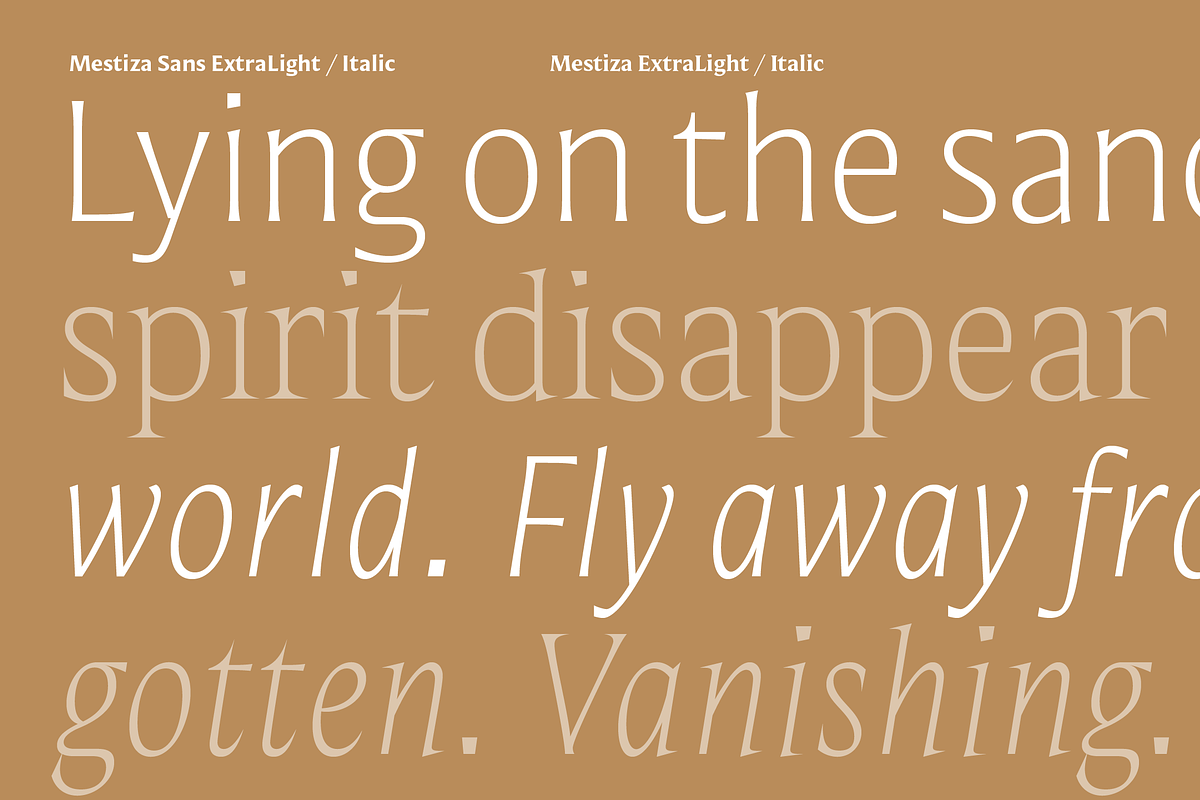 Mestiza Sans, a Sans Serif Font by Lechuga Type (Photo 13 of 19)