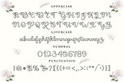 Baile Guneta, a Script Font by TM Type (Thumbnail 8 of 10)