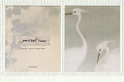 Partial View - Nature Backgrounds, a Background Graphic by Purple (Thumbnail 7 of 12)