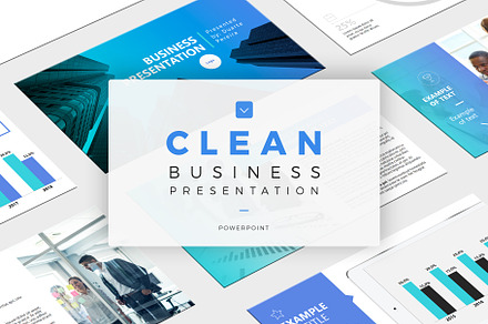 Clean Business Presentation