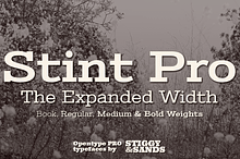 Stint Expanded Pro Family