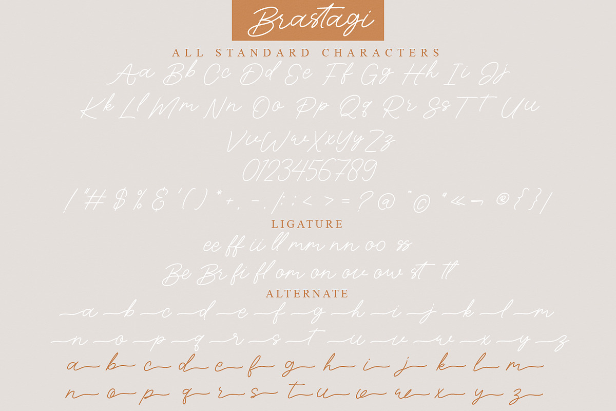 Brastagi Monoline Script Font, a Script Font by ribethstudio (Photo 6 of 8)