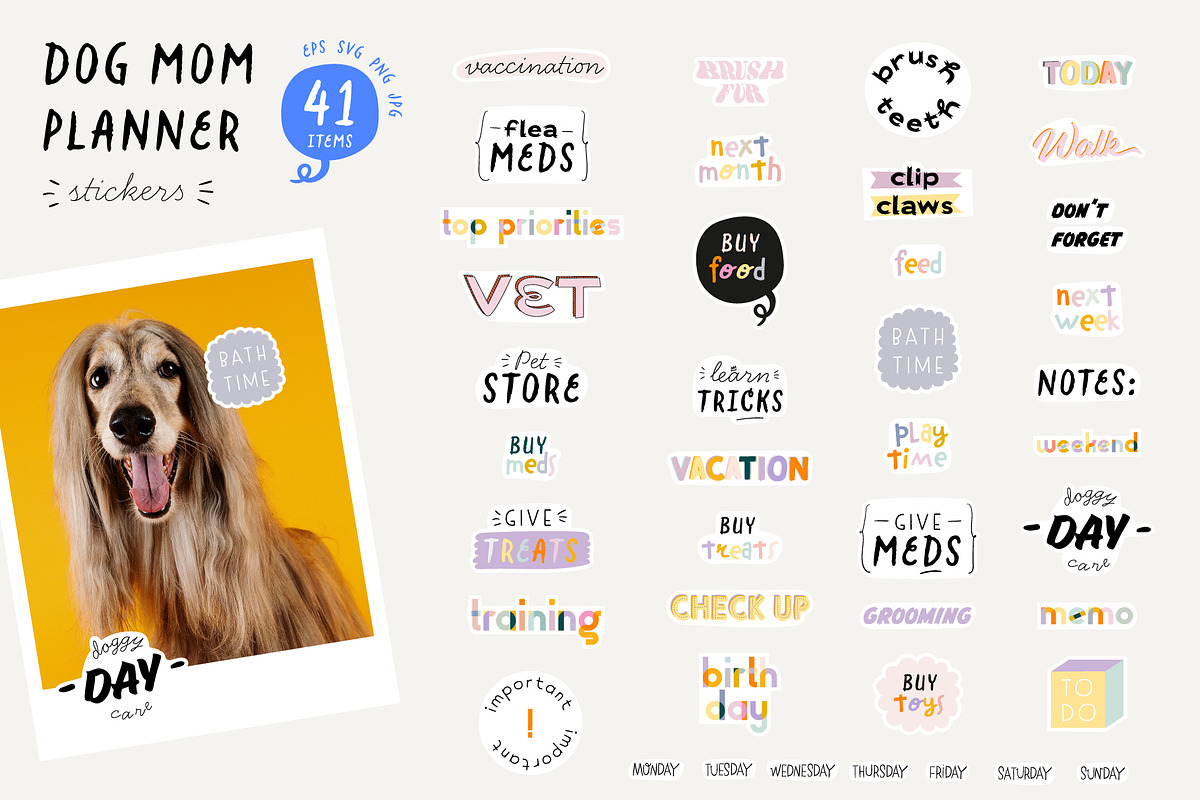 Dog Care Essentials & Funny Quotes, an Object Graphic by Ruslana Lubenets (Photo 11 of 19)