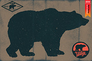 WILD SPIRIT, an Animal Illustration by Artistic & Unique (Thumbnail 4 of 9)