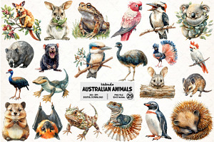 Australian Animals Clipart, an Illustration by Pixels.Craft