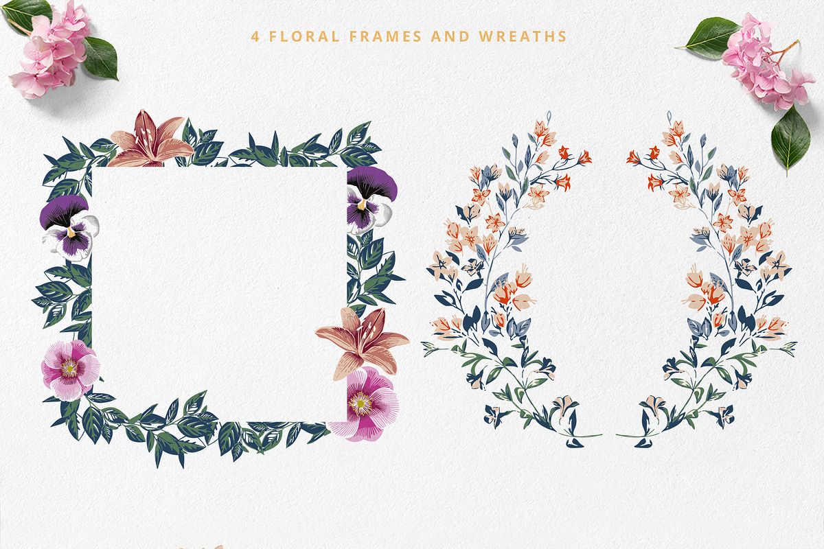 Botanical - Tropical Flowers, an Illustration by Sault Design (Photo 4 of 5)