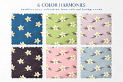 Vanilla beans - Set of patterns, a Pattern Graphic by Yummy (Thumbnail 3 of 8)