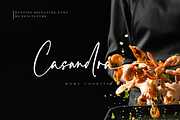 Santino - Authentic Signature Font, a Script Font by Pen Culture (Thumbnail 2 of 12)