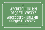 Neue Stanley, a Serif Font by Twicolabs Fontdation (Thumbnail 5 of 11)