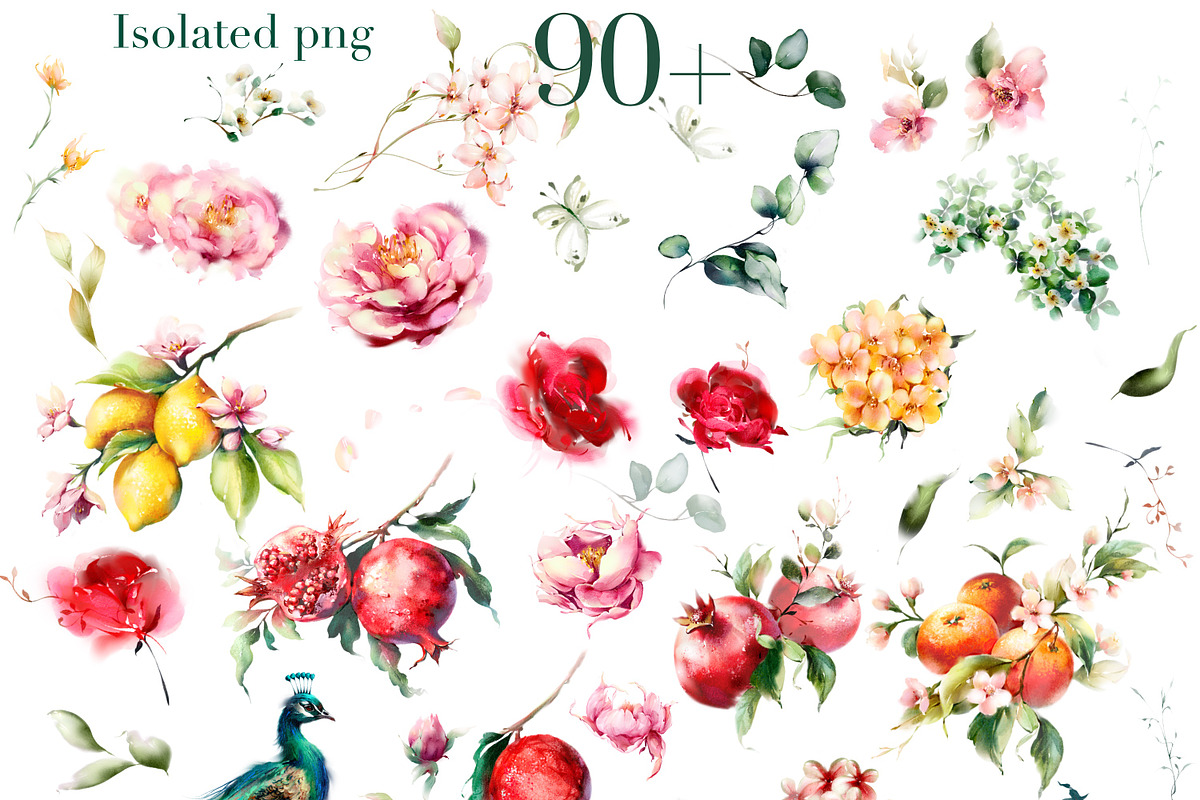 Watercolor botanical fruity flowers, a Decorative Illustration by Edith’s World (Photo 3 of 10)