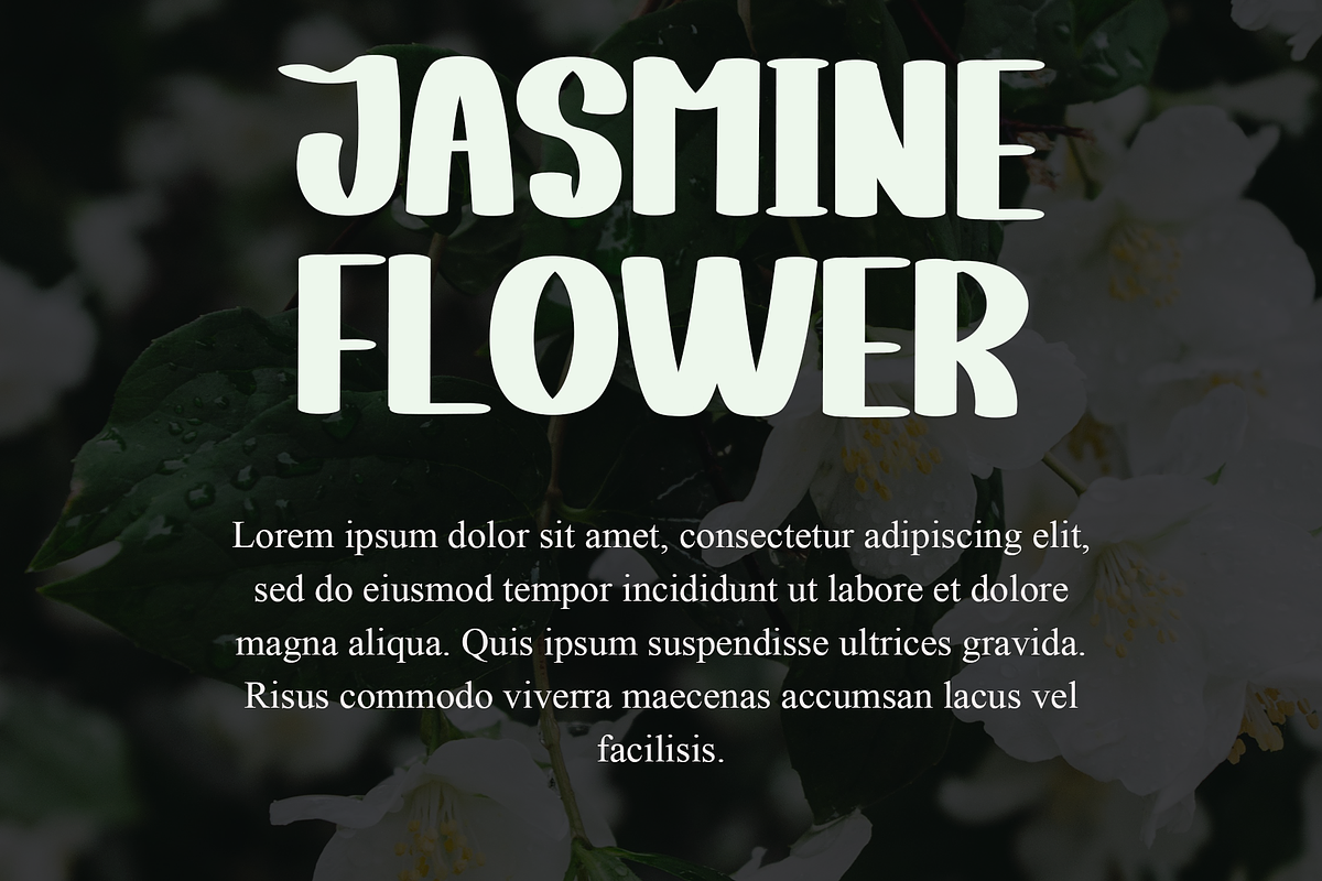 Jasmine, a Serif Font by FreshTypeINK (Photo 6 of 8)