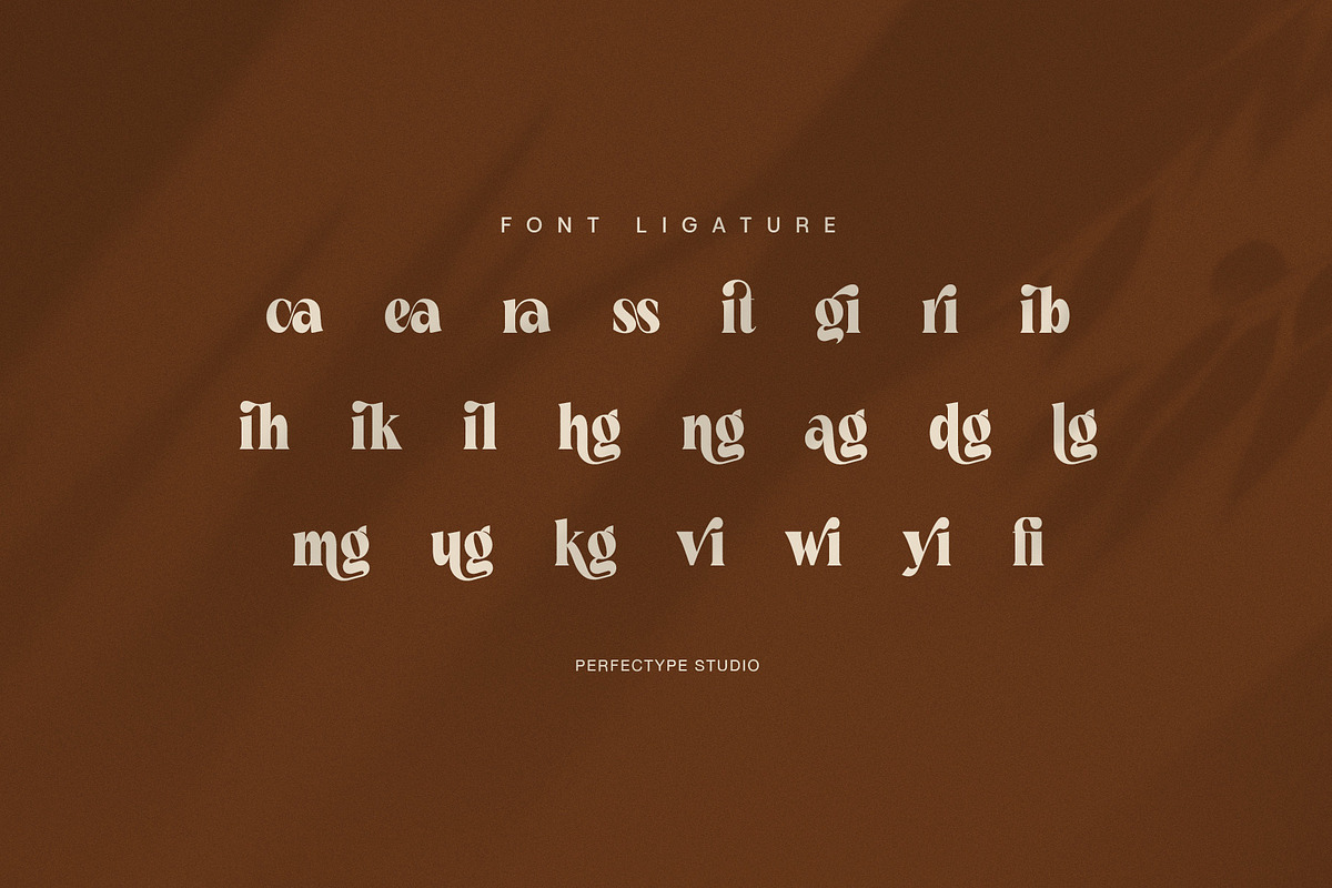 Cyfing Modern Elegant Serif Font, a Serif Font by Perfectype (Photo 8 of 8)