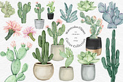 Watercolor Cactus PNG Clipart Set, an Illustration by MiracleArtAndDesign (Thumbnail 1 of 4)