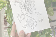 Floral Outline Illustrations Set, a Decorative Illustration by Milla_Zelenyuk_art (Thumbnail 2 of 3)