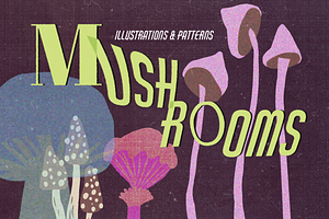 Grainy Surreal Mushrooms set, a Decorative Illustration by Paper Cherry