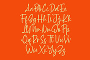 Milegants Dersonale Modern Brush, a Script Font by Letterena Studios Script (Thumbnail 6 of 20)