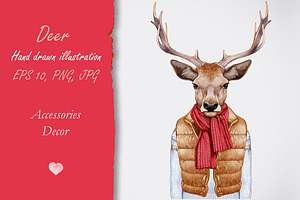 Deer / Winter time