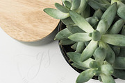 Neutral Minimalist Instagram Bundle, a Mockup by The Ginger Snaps Co (Thumbnail 3 of 4)