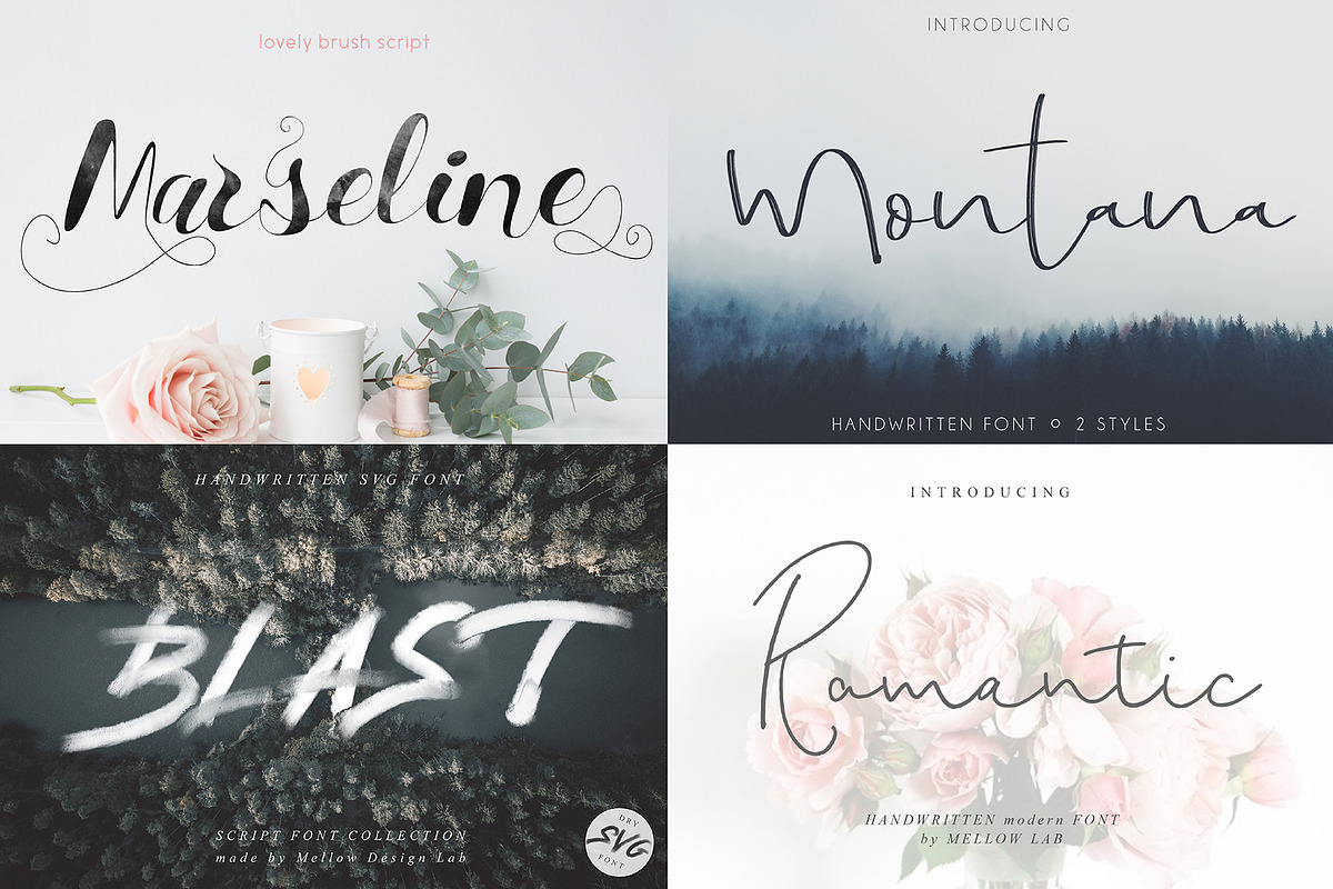 Modern Script Font Bundle