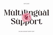 Galink New Elegant  Serif, a Serif Font by Muflieart (Thumbnail 8 of 9)