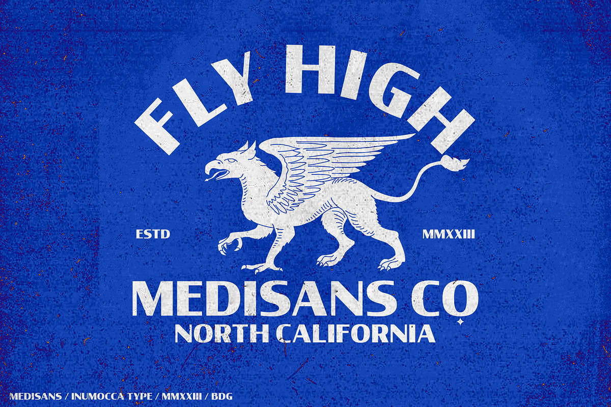 Medisans, a Sans Serif Font by inumocca_type (Photo 6 of 13)