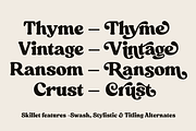 Skillet Serif Typeface, a Serif Font by Fenotype (Thumbnail 12 of 14)