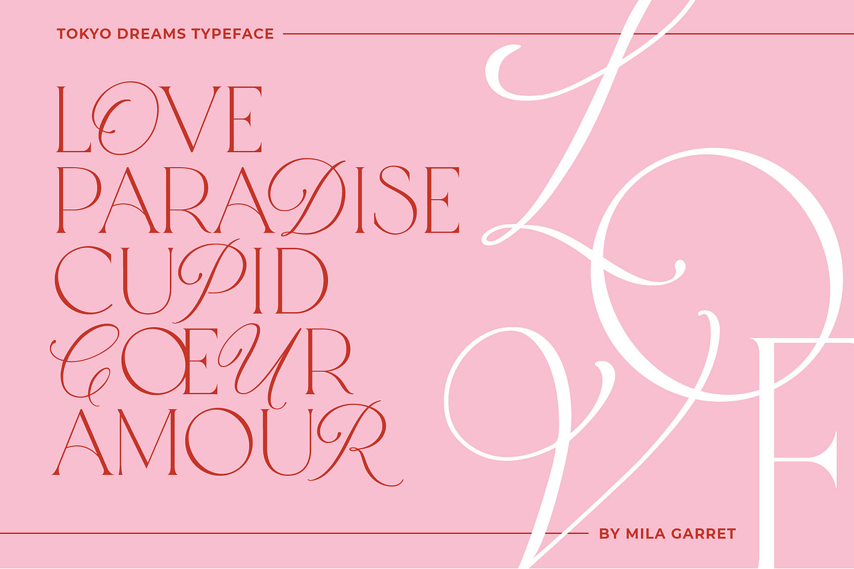 Tokyo Dreams Display Ligature Serif, a Serif Font by Mila Garret (Photo 12 of 28)