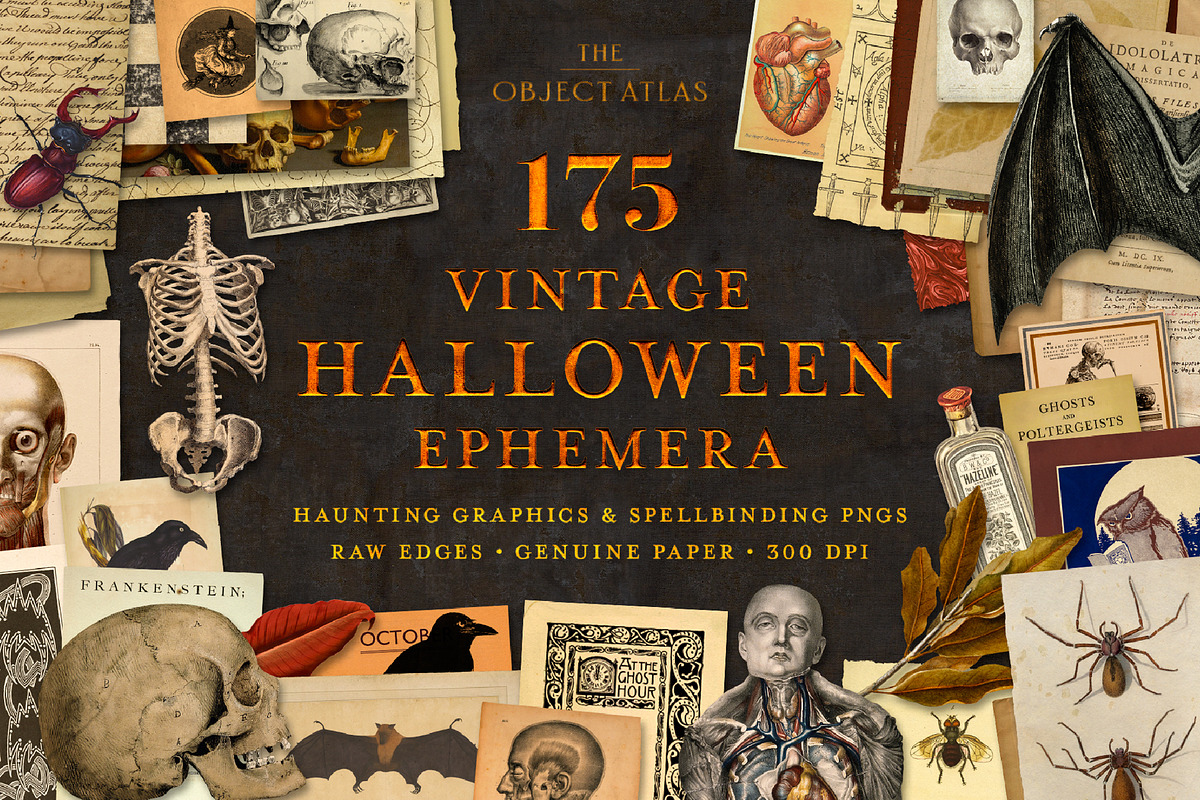 175 Vintage Halloween Ephemera, an Object Graphic by The Object Atlas (Photo 1 of 13)