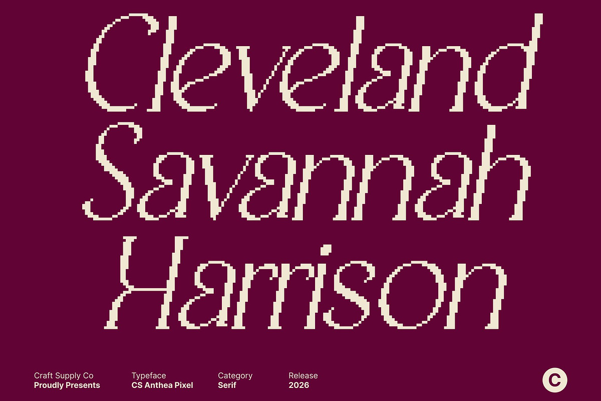 CS Anthea Pixel, a Serif Font by Craft Supply Co. (Photo 5 of 8)